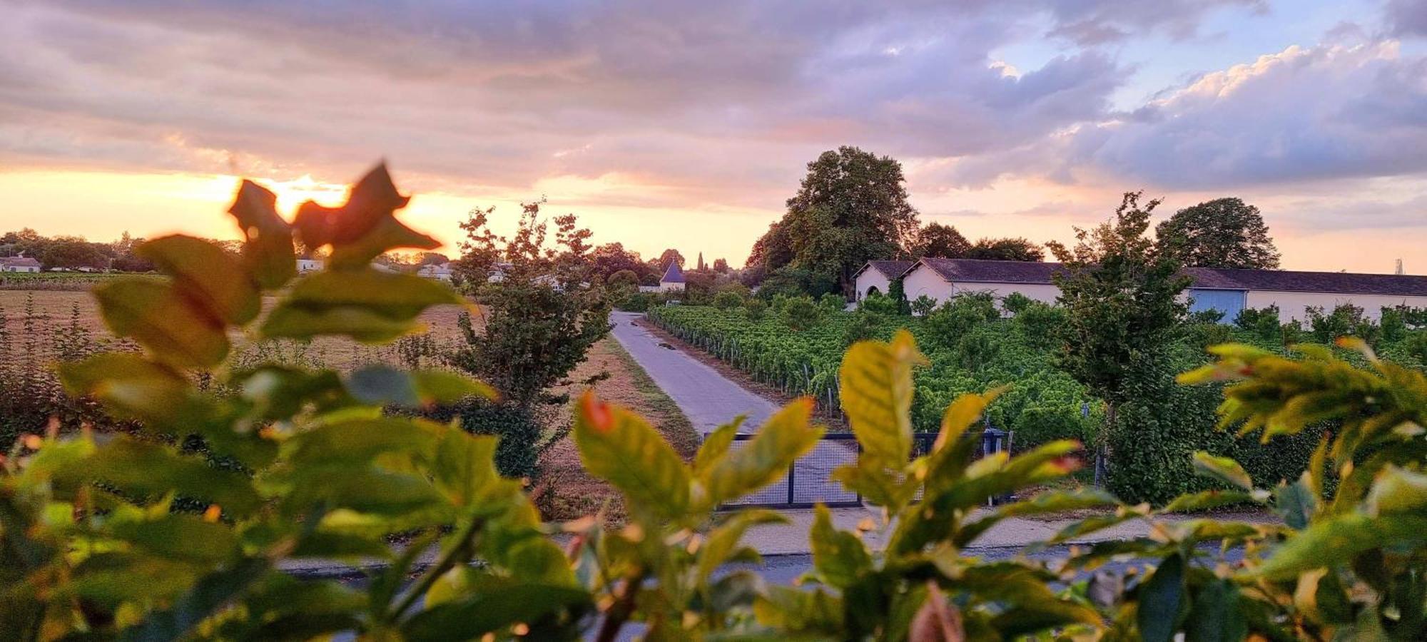 Appartement Quinault Libourne Bagian luar foto